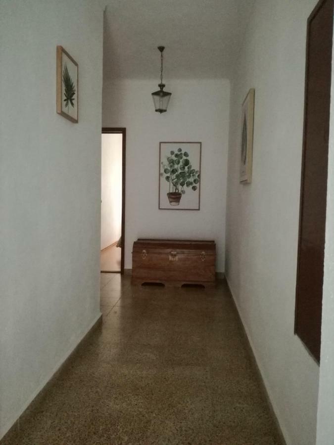Arronches Villa 외부 사진