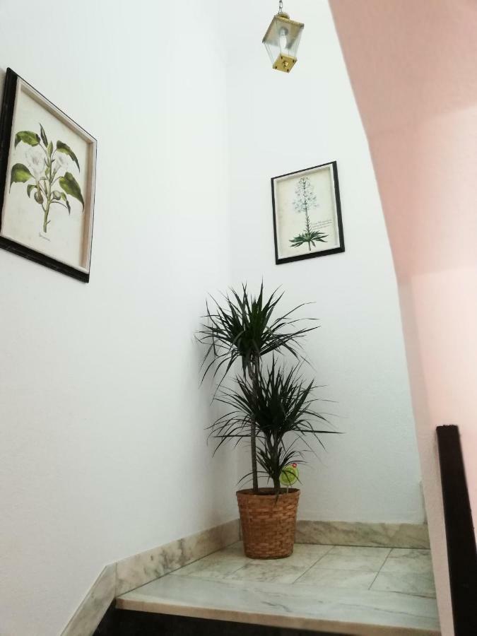 Arronches Villa 외부 사진