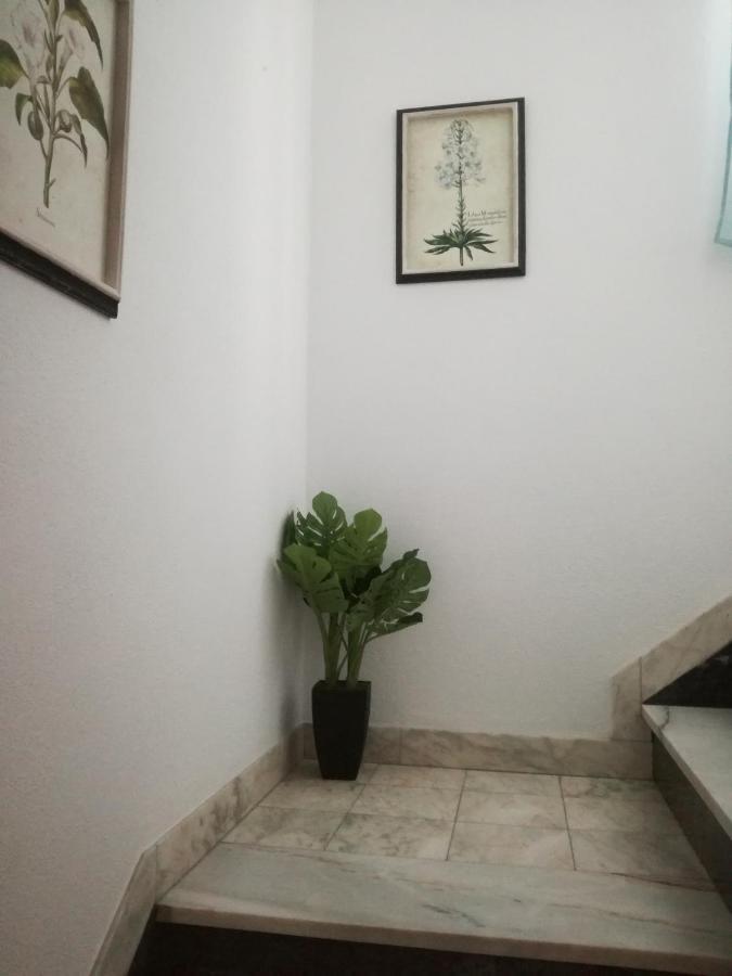 Arronches Villa 외부 사진